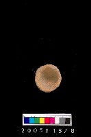 藏品(陶杯)的圖片