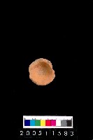 藏品(陶杯)的圖片