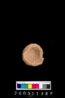 藏品(陶杯)的圖片