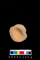 藏品(陶杯)的圖片