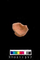 藏品(陶杯)的圖片