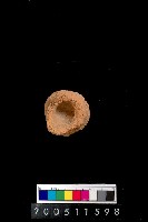 藏品(陶杯)的圖片