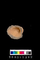 藏品(陶杯)的圖片