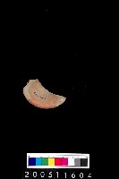 藏品(陶杯)的圖片