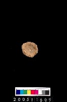 藏品(陶杯)的圖片