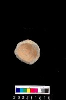 藏品(陶杯)的圖片