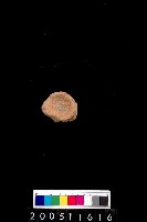 藏品(陶杯)的圖片