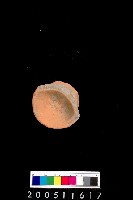 藏品(陶杯)的圖片