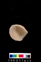 藏品(陶杯)的圖片