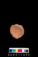 藏品(陶杯)的圖片