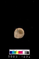 藏品(陶杯)的圖片