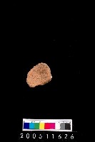 藏品(陶杯)的圖片