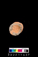 藏品(陶杯)的圖片