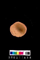 藏品(陶杯)的圖片