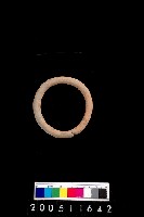 藏品(陶環)的圖片