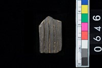 藏品(陶環)的圖片