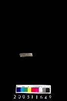 藏品(陶環)的圖片