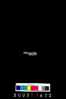 藏品(陶環)的圖片