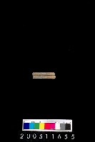 藏品(陶環)的圖片