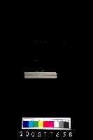 藏品(陶環)的圖片