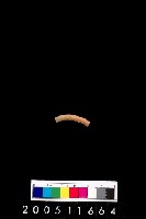 藏品(陶環)的圖片