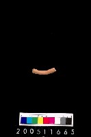 藏品(陶環)的圖片