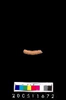 藏品(陶環)的圖片