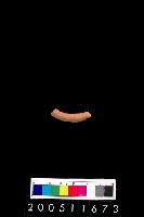 藏品(陶環)的圖片