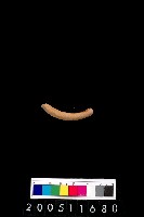 藏品(陶環)的圖片