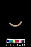 藏品(陶環)的圖片