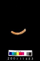 藏品(陶環)的圖片