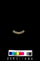 藏品(陶環)的圖片