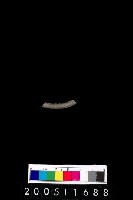 藏品(陶環)的圖片