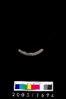 藏品(陶環)的圖片