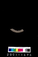 藏品(陶環)的圖片