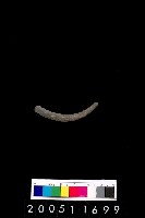 藏品(陶環)的圖片