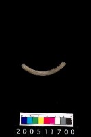 藏品(陶環)的圖片