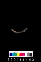 藏品(陶環)的圖片