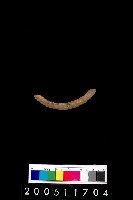 藏品(陶環)的圖片