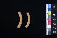 藏品(陶環)的圖片