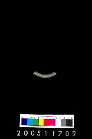 藏品(陶環)的圖片