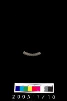 藏品(陶環)的圖片