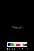 藏品(陶環)的圖片