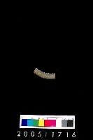 藏品(陶環)的圖片