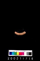 藏品(陶環)的圖片