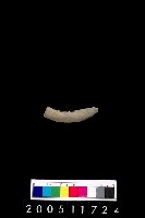 藏品(陶環)的圖片