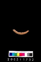 藏品(陶環)的圖片