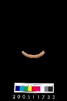 藏品(陶環)的圖片