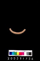 藏品(陶環)的圖片