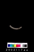 藏品(陶環)的圖片